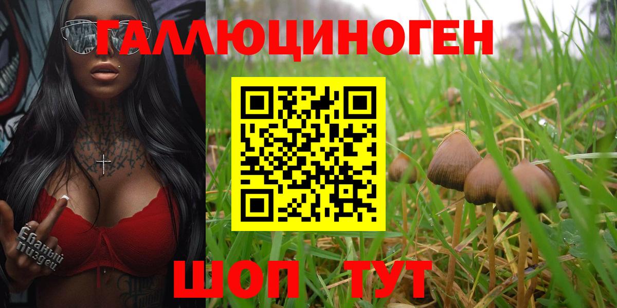 Псилоцибиновые грибы мухоморы Холмск