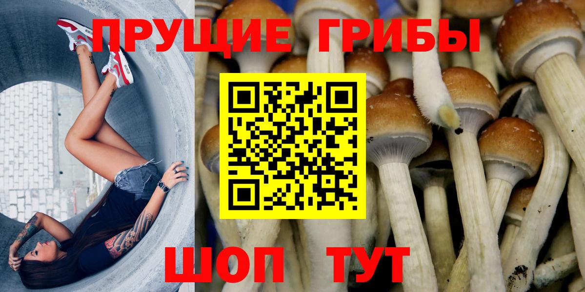 Холмск  Псилоцибиновые грибы мухоморы  Вход с VPN 
