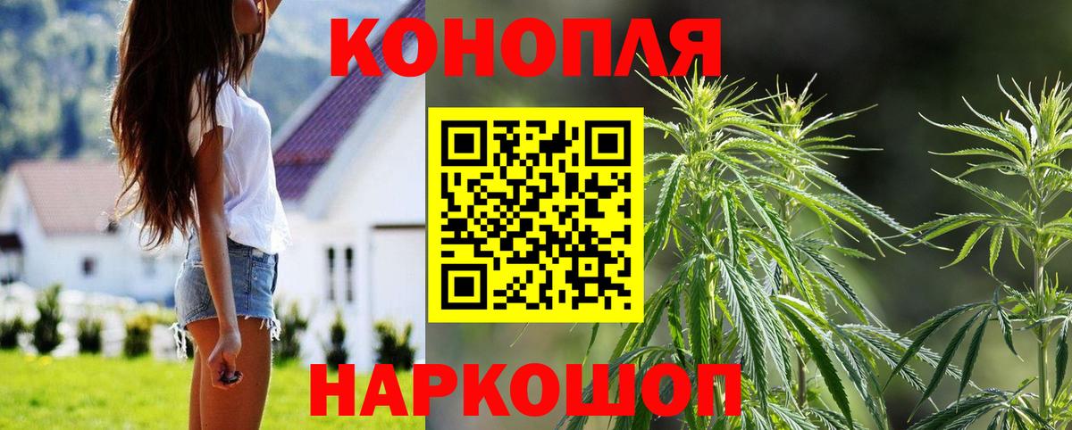 Конопля семена  Марихуана OG Kush  Холмск  МАРИХУАНА SATIVA & INDICA  Каннабис SATIVA & INDICA  Вход с VPN 